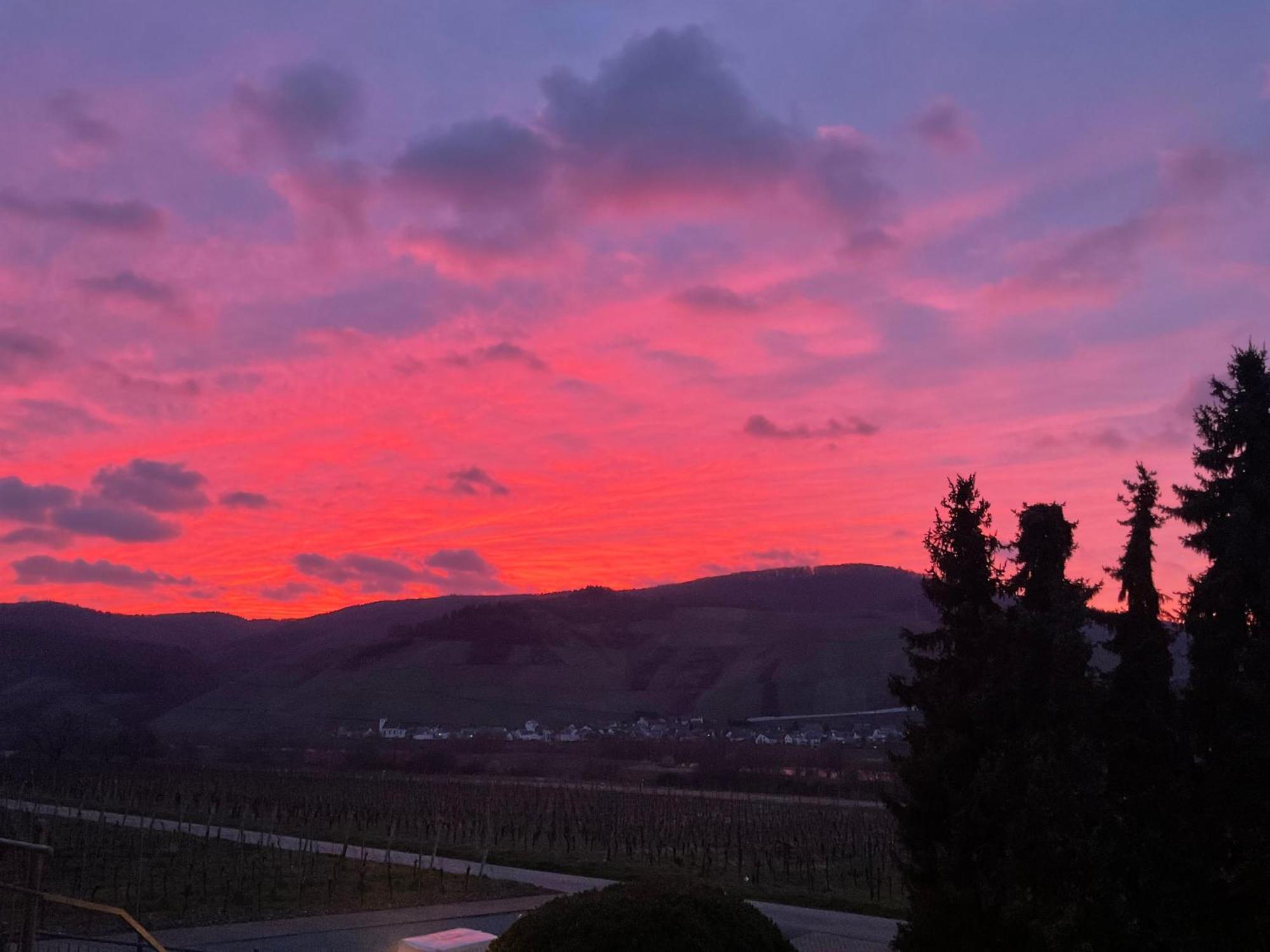 Hotel Weingut Bastian Brauneberg Exterior foto